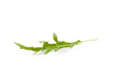 Tek yeşil roka bırak