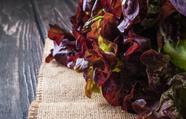 Ahşap zemin üzerine marul