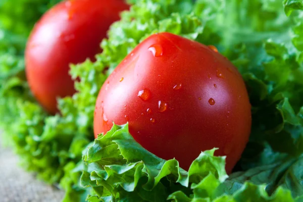 Lechuga con tomate en escritorio de madera — Foto de Stock