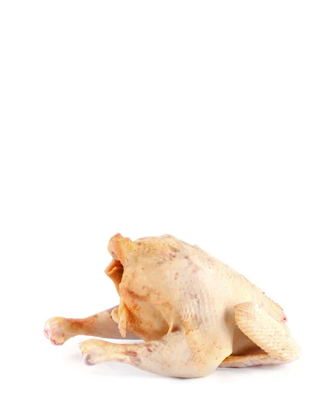 Κοτόπουλο σφάγιο απομονωθεί — Φωτογραφία Αρχείου