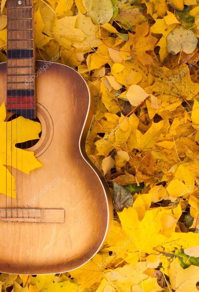 Guitar in autumn leaves. Stock Photo by ©Arybickii 124514448