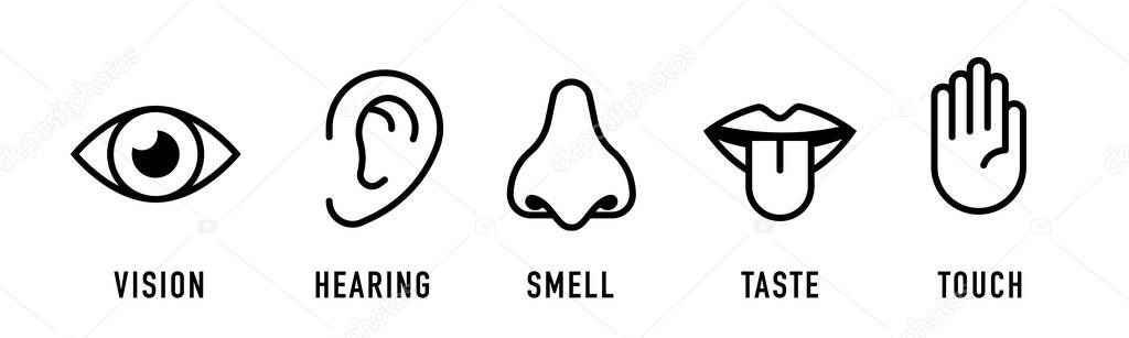 Icon set of five human senses: vision, smell, hearing, touch, taste. vector illustration.