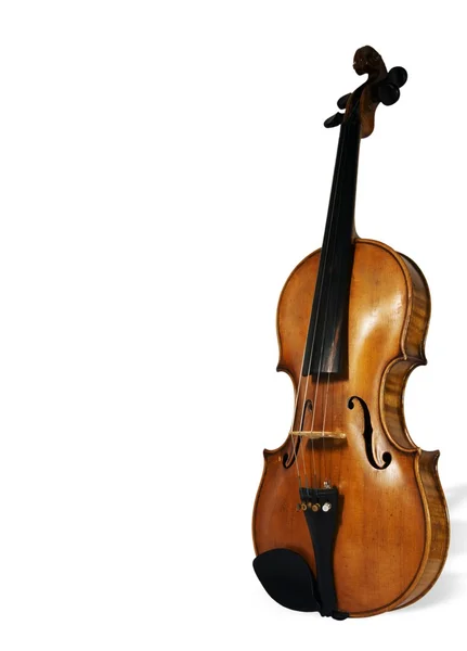 Parte del violonchelo aislada — Foto de Stock