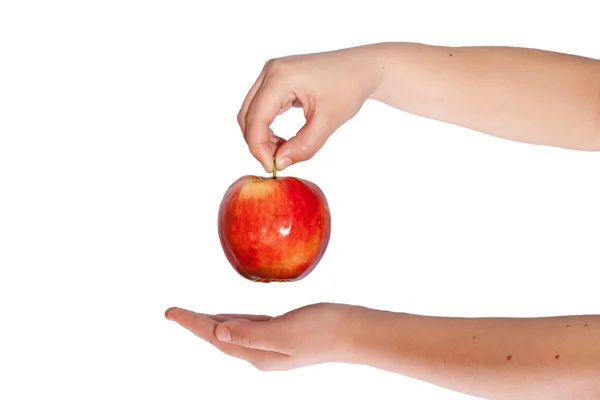 Roter Apfel in den Händen — Stockfoto
