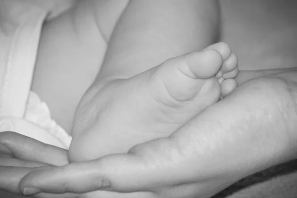 Baby foot — Stock Photo, Image