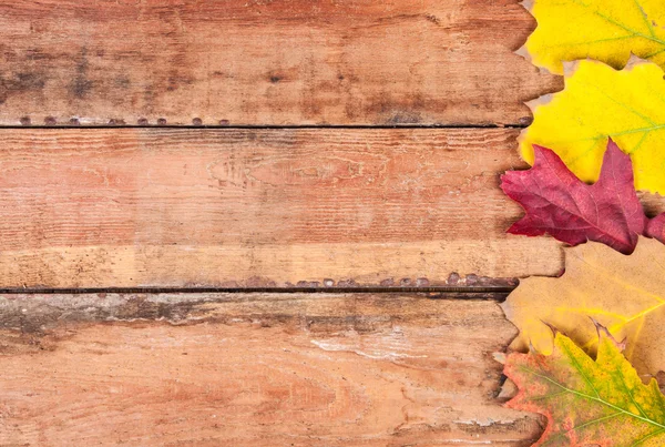 Sonbahar arka plan — Stok fotoğraf