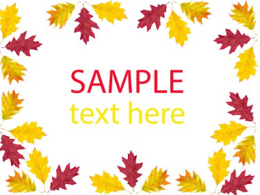 izole sonbahar yaprakları