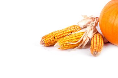 güzel sonbahar kompozisyon