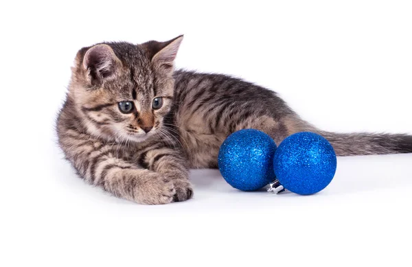 Hermoso gatito con bola azul — Foto de Stock