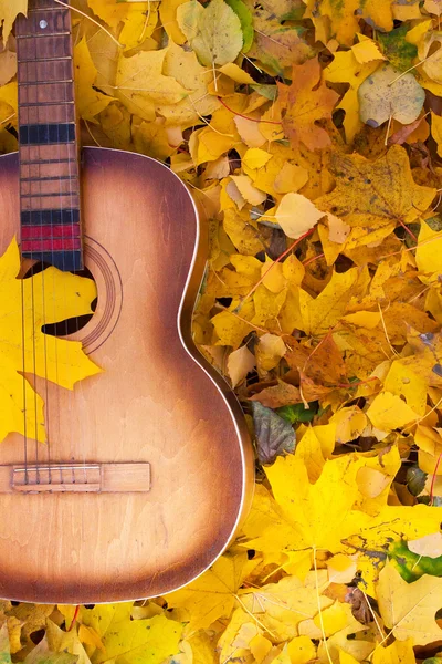 Guitarra en hojas de otoño — Foto de Stock