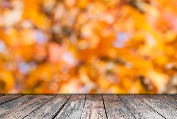 Sfondo giallo naturale — Foto Stock