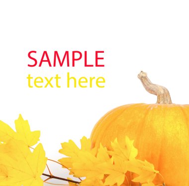 izole renkli sonbahar yaprakları