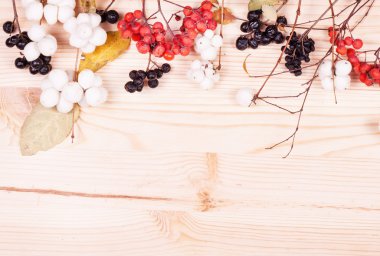 dalları ile Noel arka plan 