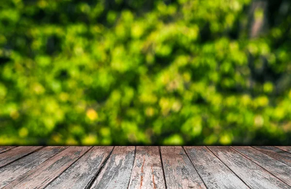 Naturlig grön bakgrund — Stockfoto