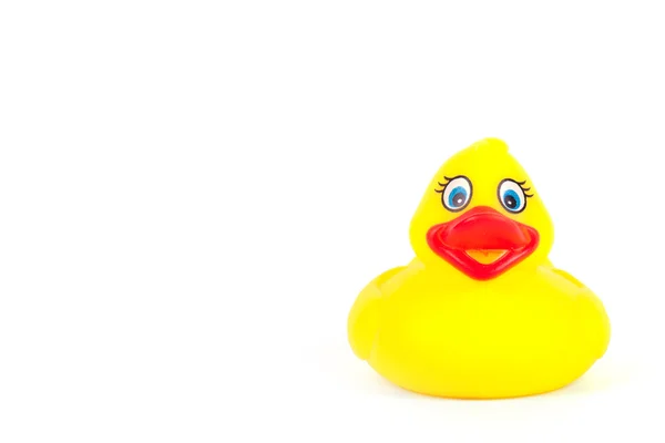 Rubber duck isolated — Stock Photo, Image