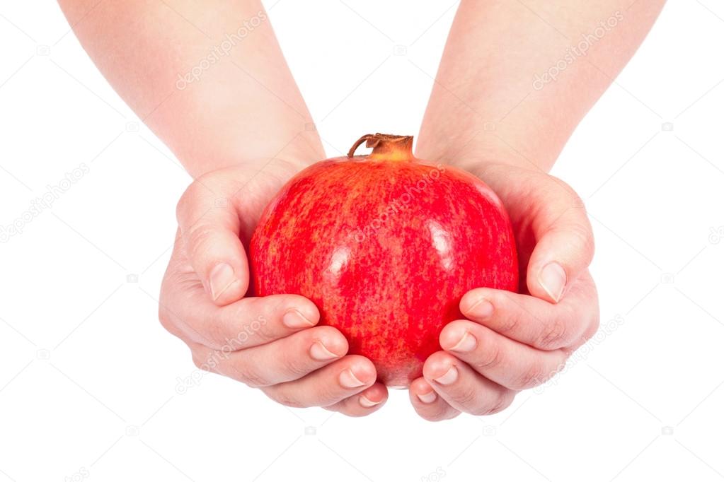 hand holding pomegranate 