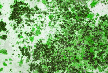 Kağıt doku tasarlanmış