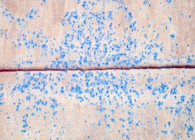 Eski grunge duvar dokusu