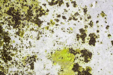 Kağıt doku tasarlanmış