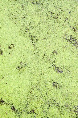 Kağıt doku tasarlanmış