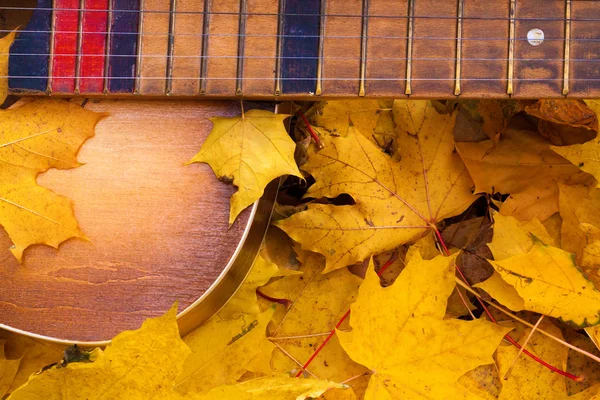 Гітара в осінньому листі . — стокове фото