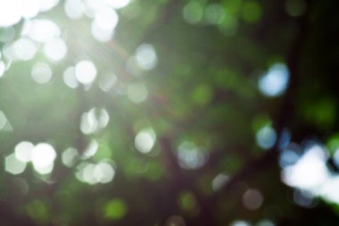 Soyut doğa arkaplanı