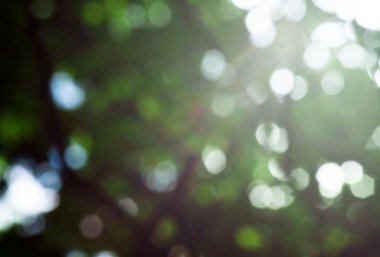 Soyut doğa arkaplanı