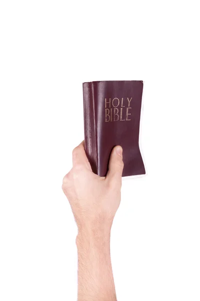 Main tient la Bible — Photo