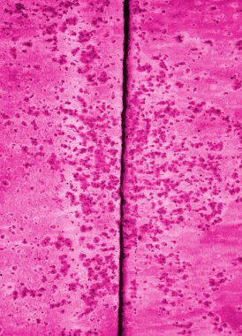 büyük grunge doku ve arka planlar 