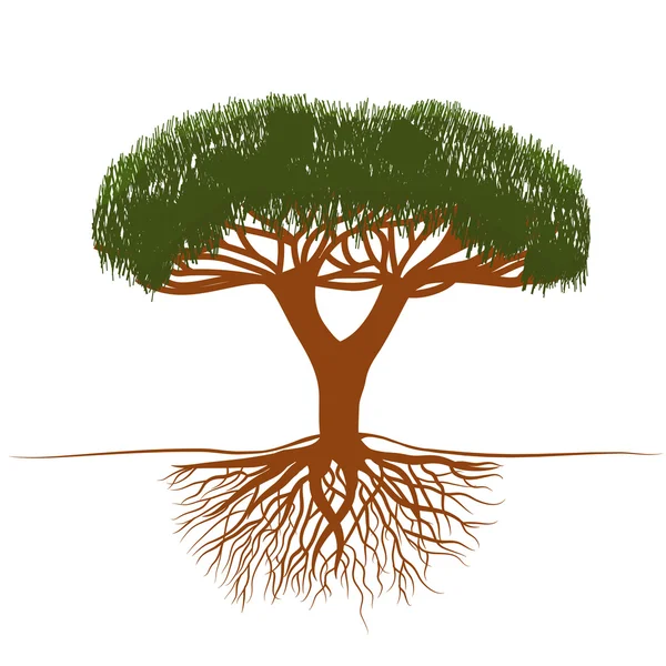 Baum mit Wurzeln Stockillustration