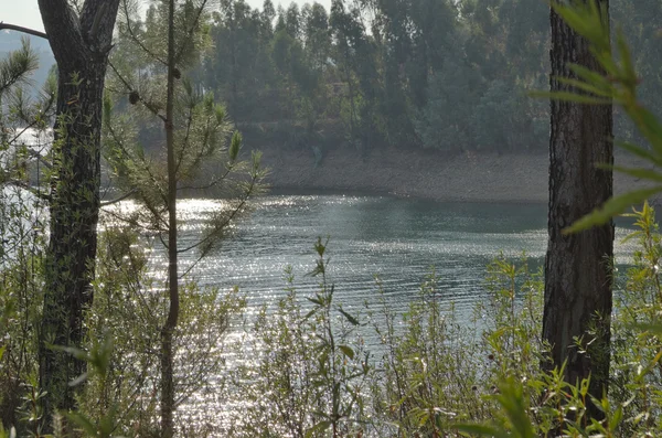 Zêzere floden landskap i Tomar — Stockfoto