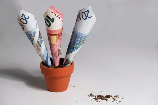 Euro banknotes growing out of pot — Stock Photo, Image