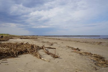 Baharda Beyaz Deniz kıyısında