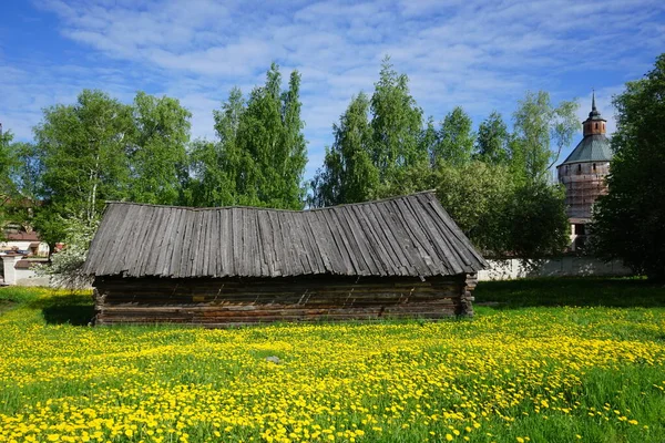 Старый Деревянный Амбар Одуванчике — стоковое фото