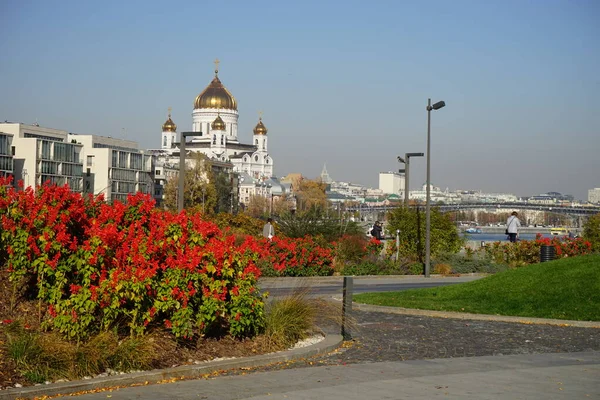 赤花とキリストの大聖堂の景色モスクワのムゾン公園で救世主 ロシア — ストック写真