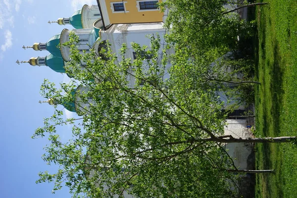 Młode Drzewa Widok Katedrę Wniebowzięcia Pańskiego Kremlu Astrachanie Wiosną Rosja — Zdjęcie stockowe