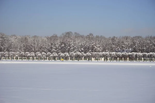 Inverno Nel Parco Laghetto Ghiacciato Giardino Alberi Tagliati Mosca Inverno Foto Stock
