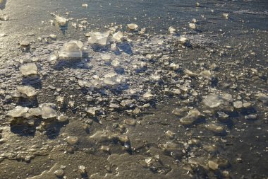 Donmuş bir gölette buz parçaları