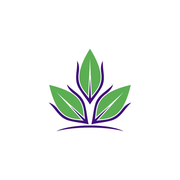 Questo Modello Logo Natura Con Concetto Foglia — Vettoriale Stock