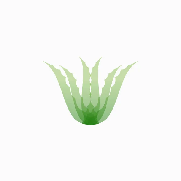 Логотип Алое Креативний Дизайн Векторний Шаблон Ліцензійні Стокові Ілюстрації