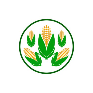 Bu bir mısır logosu şablonu.