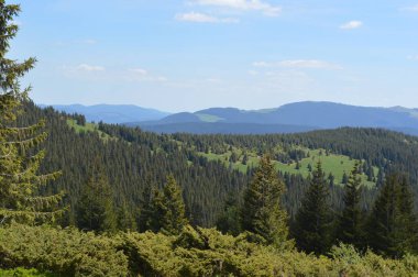 Ukrayna 'nın en yüksek dağı, Hoverla dağı, 2061 metre.