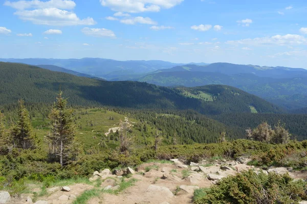 Ukrainas Högsta Bergstopp Berget Hoverla 061 — Stockfoto