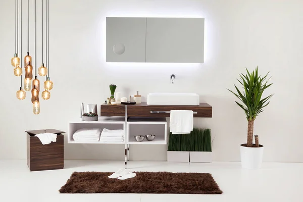 Clean Bathroom Style Interior Decorative Design Wooden Cabinets — Stock Photo, Image
