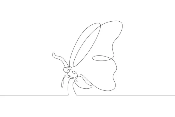 Mariposa Insecto Vuela Vuelo Extendiendo Sus Alas Una Línea Dibujo — Foto de Stock