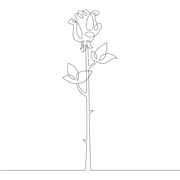 Flor Planta Rosa Pétalas Rosa Folhas Brotam Logotipo Linha Desenho — Fotografia de Stock