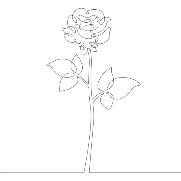 Pianta Fiore Rosa Petali Rosa Foglie Gemma Disegno Continuo Linea — Foto Stock