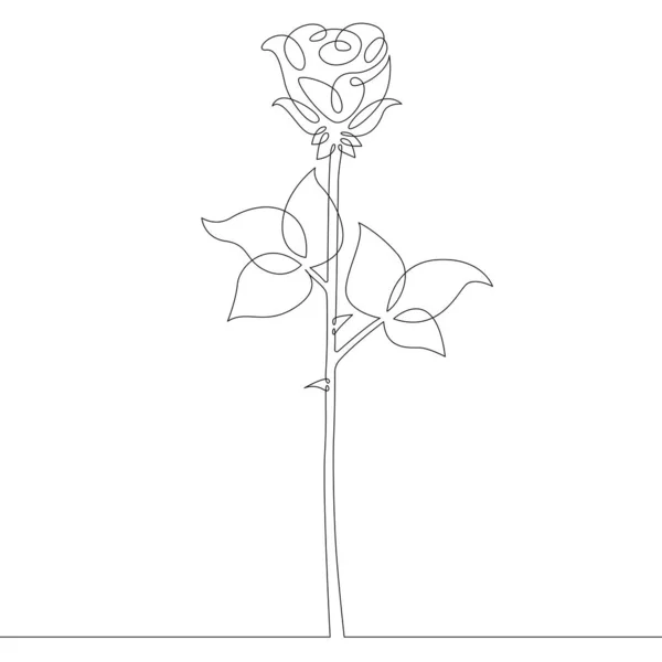 Blütenpflanze Stieg Auf Rosenblätter Und Blätter Knospen Eine Kontinuierliche Zeichenlinie — Stockfoto