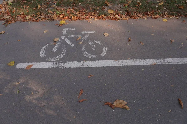 Bicycle symbol in the bicycle lane in the park, Bike pictures are drawn on the road for riding a bicycle