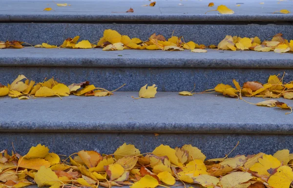 Escaleras de otoño — Foto de Stock